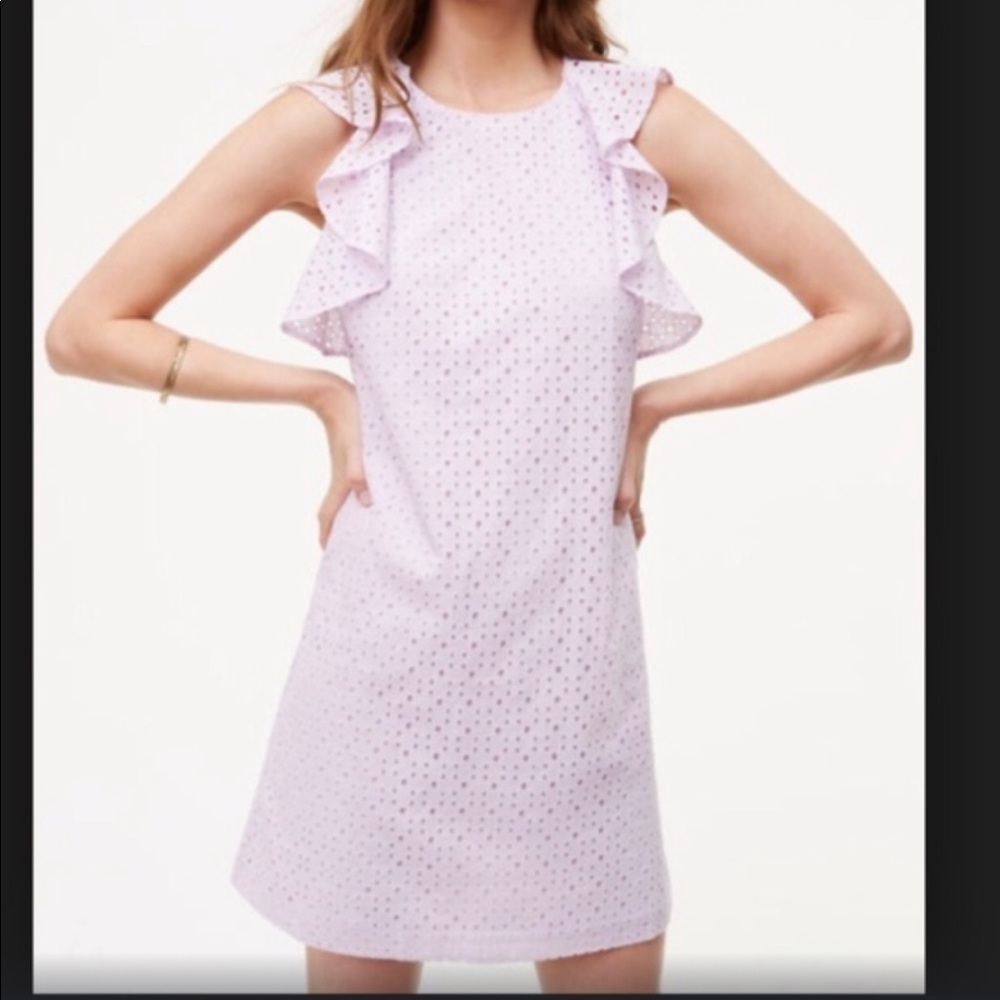 LOFT eyelet lilac ruffle sleeve dress